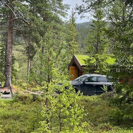 Idyllisk Sted Pa Oyefjell * Oyfjell