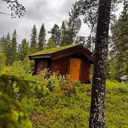 Idyllisk Sted Pa Oyefjell 度假居 *